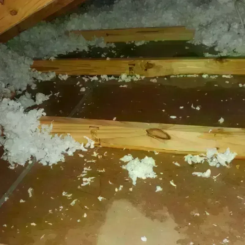 Attic Water Damage in Waterloo, WI