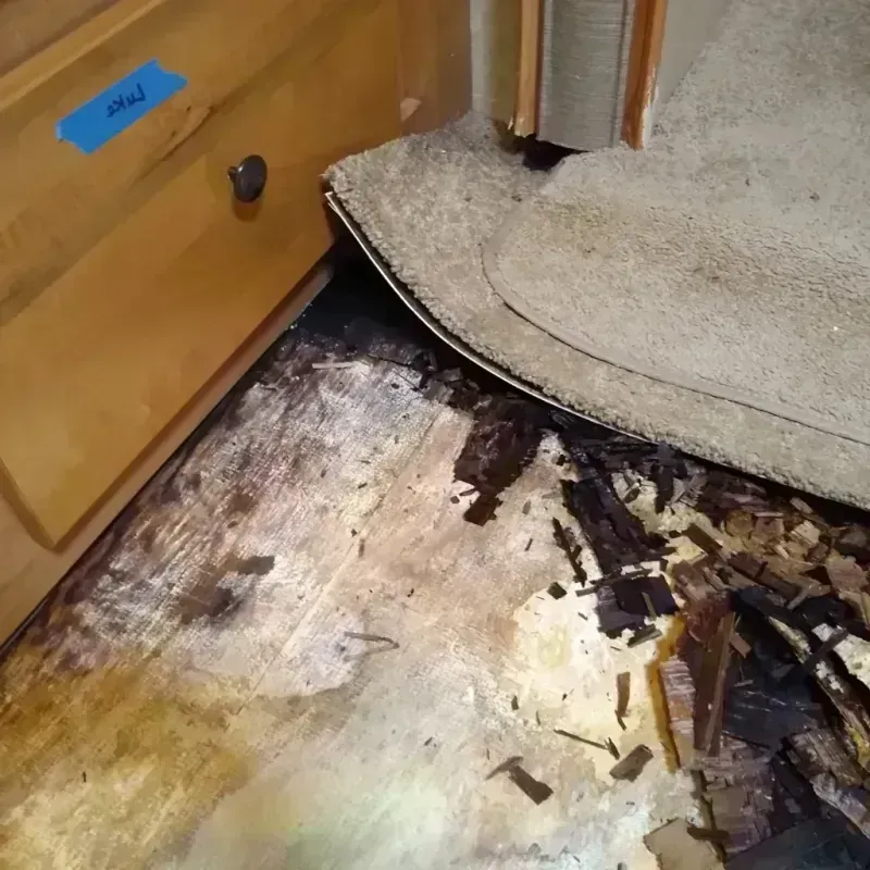 Wood Floor Water Damage in Waterloo, WI